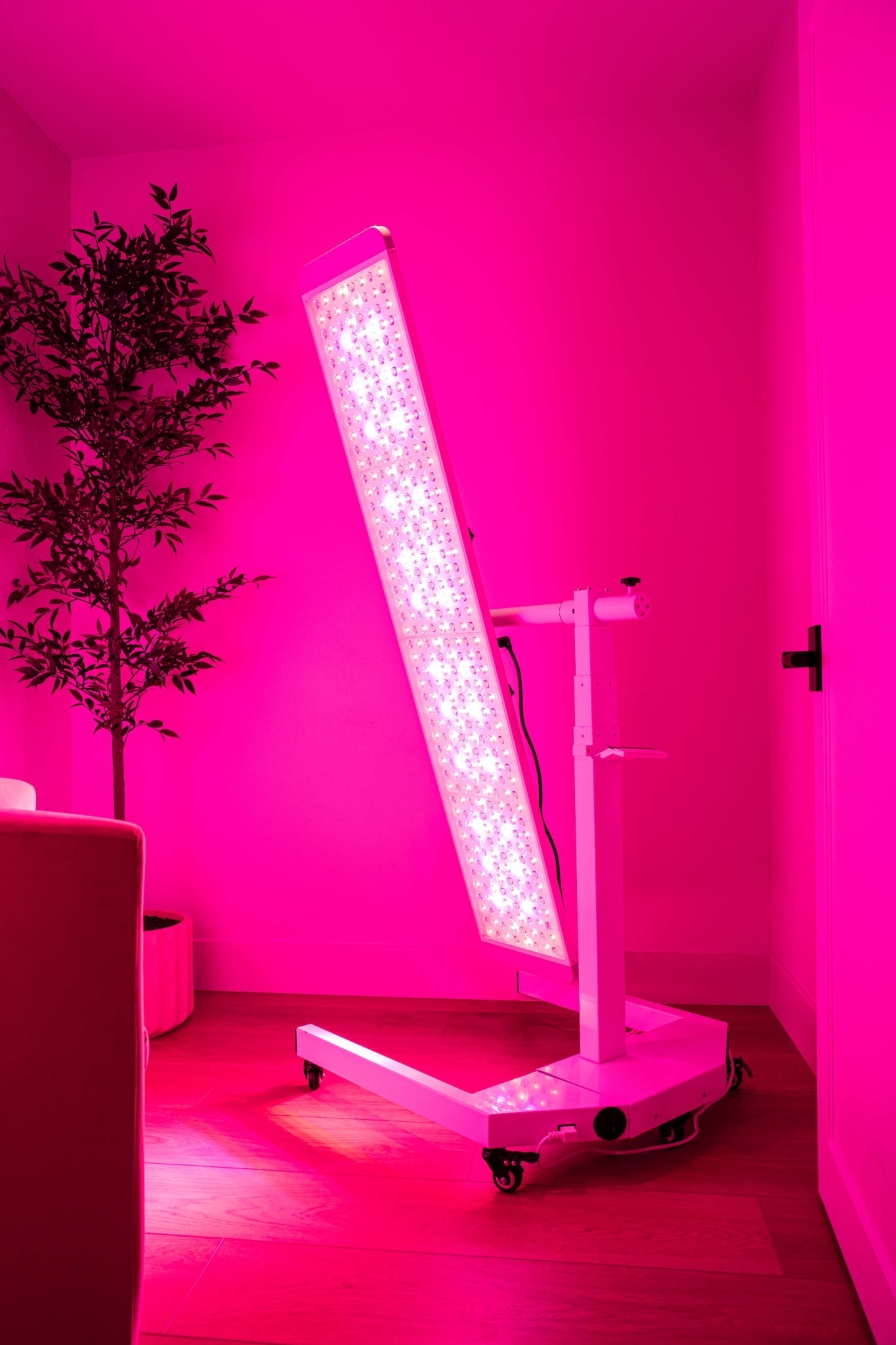 Renew Red Light Panorama Panel full-body red light therapy device – front view in studio