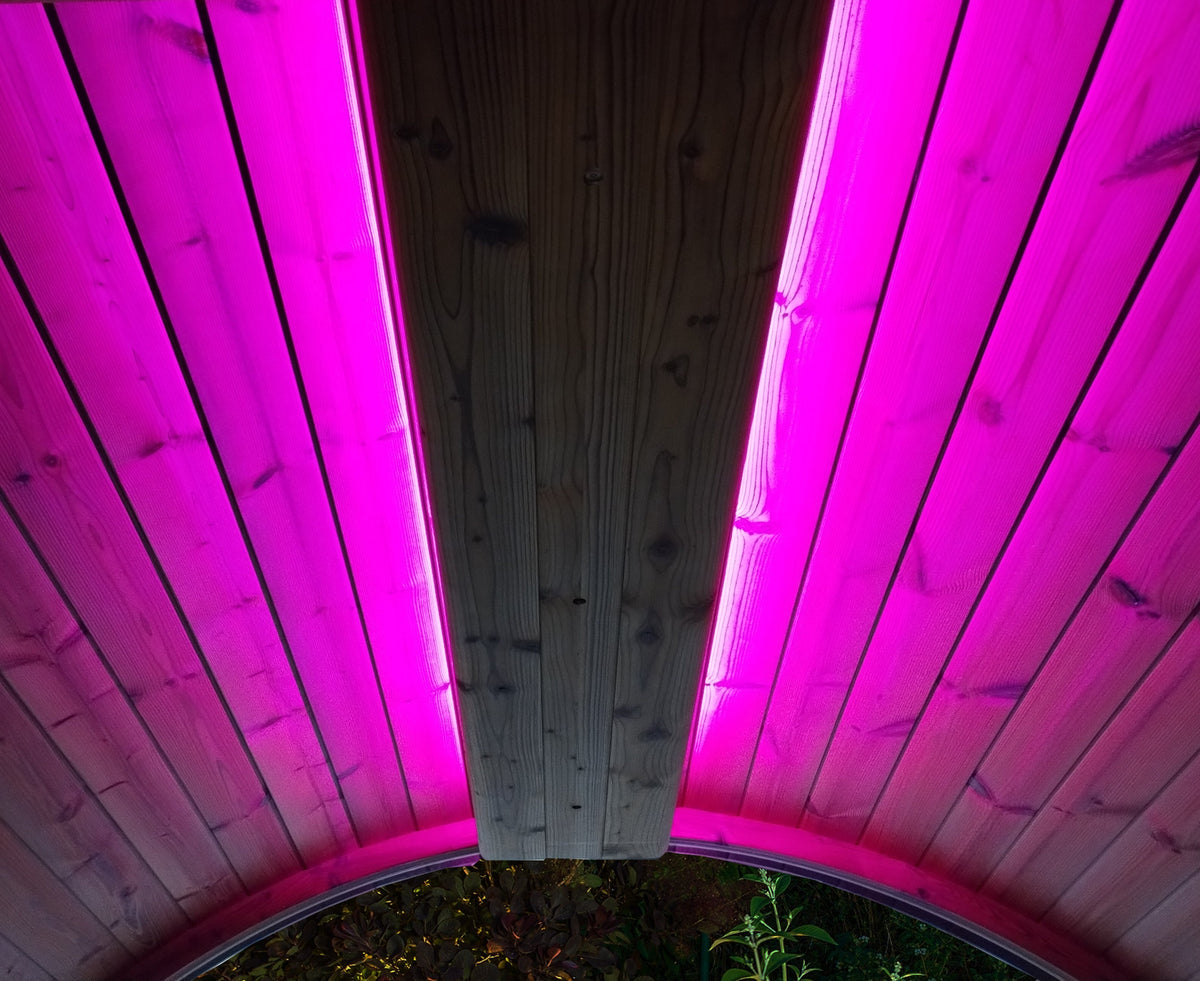 Wooden sauna with pink LED lighting on a dark background