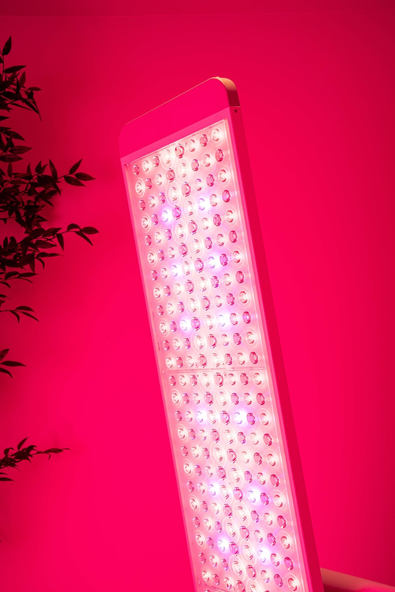 Woman using Renew Red Light Panorama Panel for full-body red light therapy session